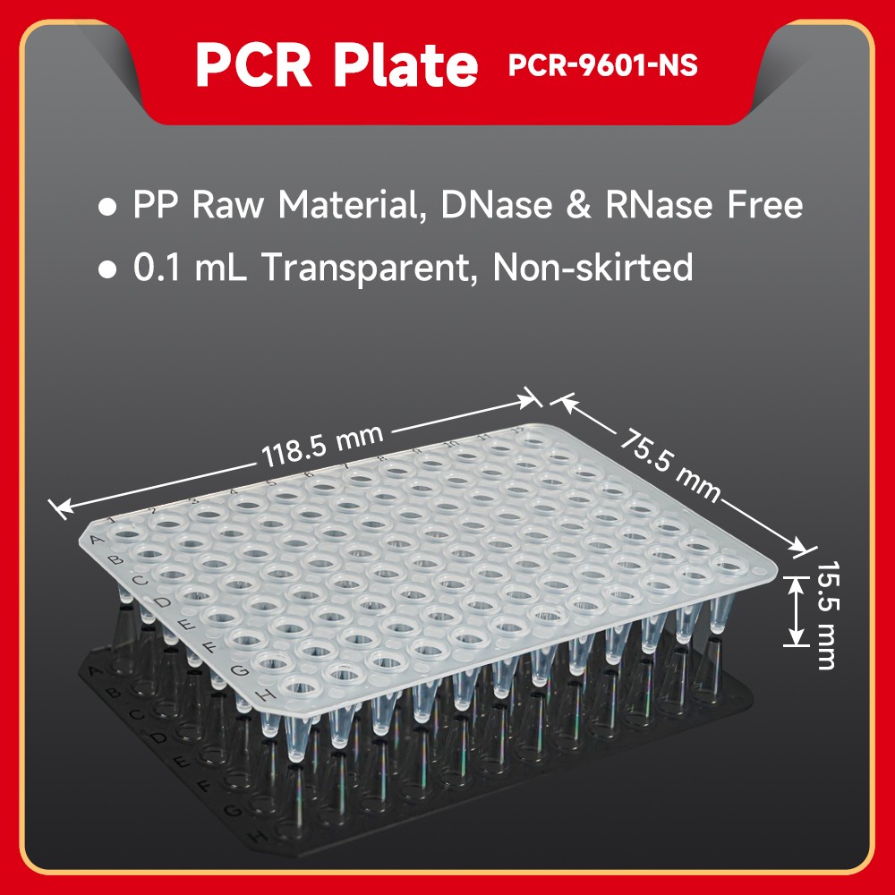 PCR Plate (Transparent), 0.1 mL Non-skirted