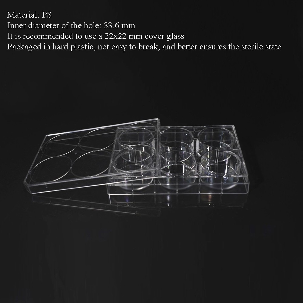 6-well plate (TC treated, Sterile)