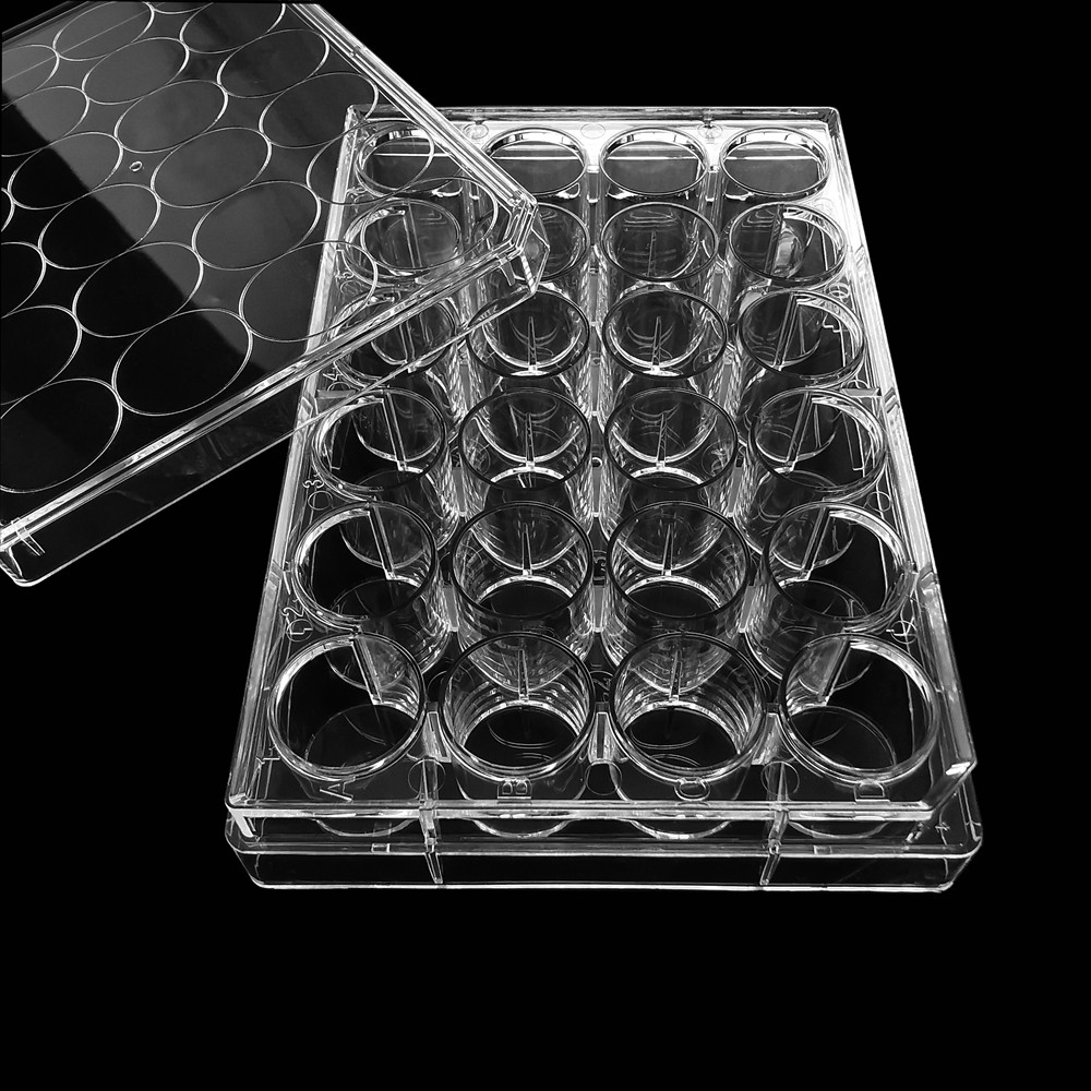 48-well plate (TC treated, Sterile)