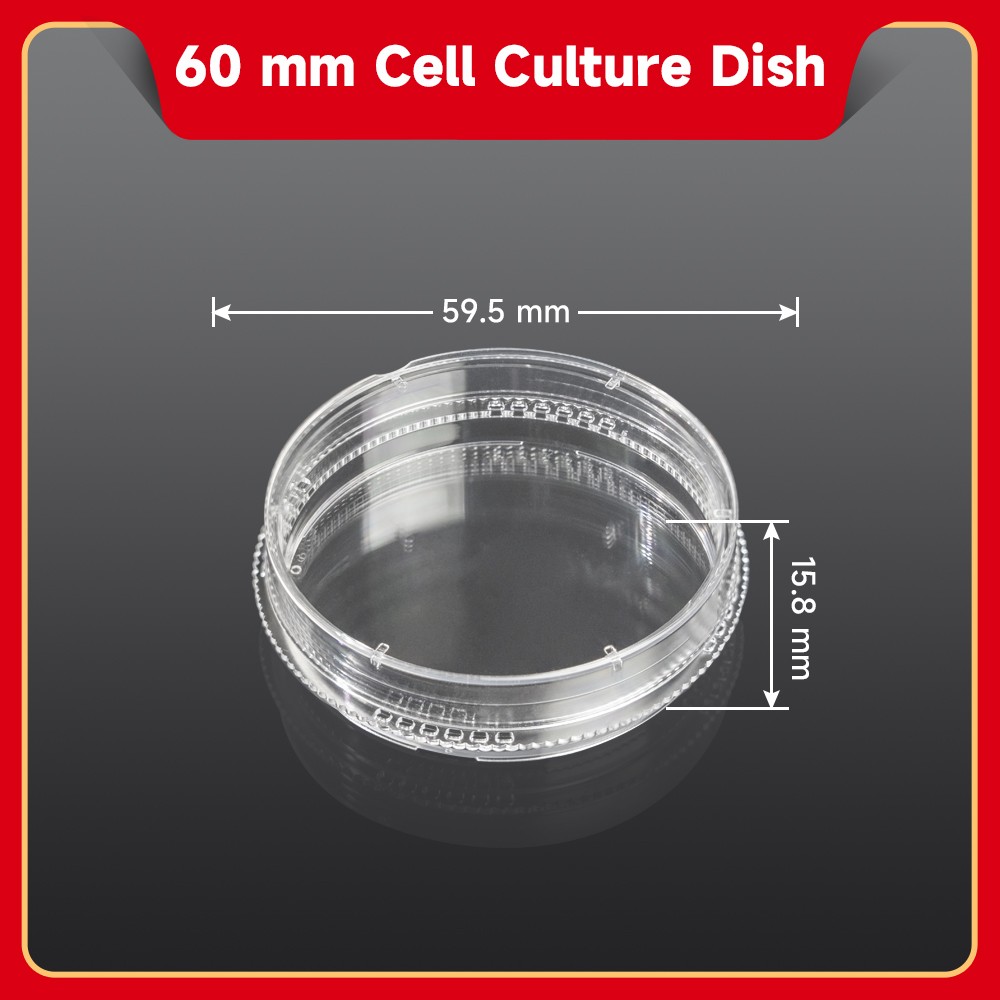 60mm Cell Culture Dish(TC treated, Sterile)