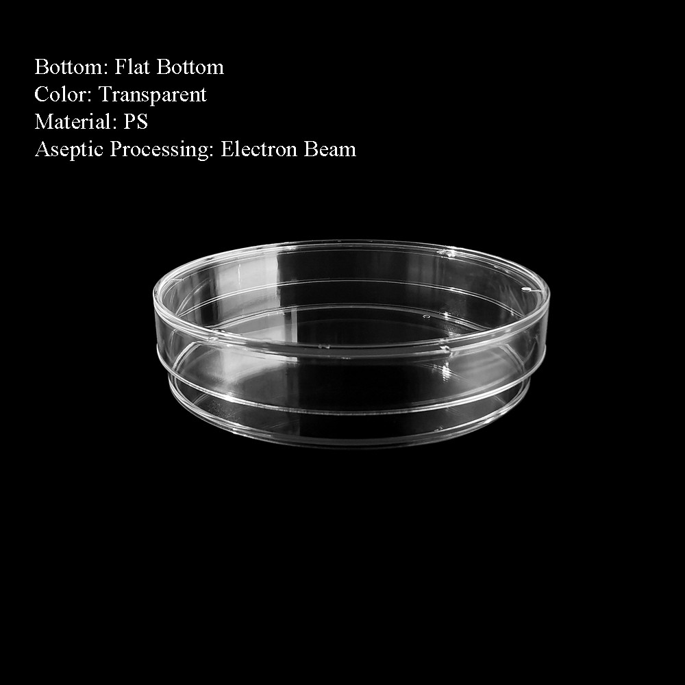 60mm Petri Dish